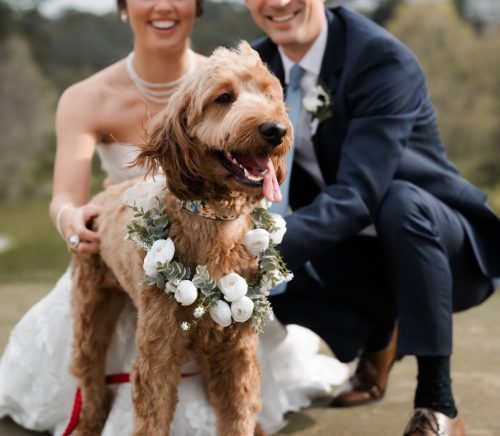 Southpointe Golf Club | Pittsburgh Wedding Venue | Burgh Brides