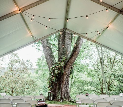 Botanical Inspired Tented Wedding. For more wedding ideas, visit burghbrides.com!