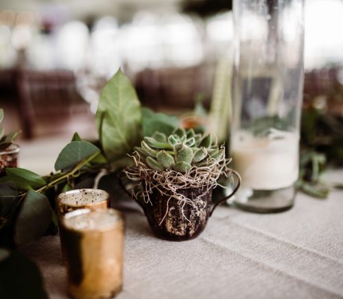 Botanical Inspired Tented Wedding. For more wedding ideas, visit burghbrides.com!