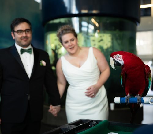 Pittsburgh Zoo & Aquarium | Pittsburgh Wedding Venue | Burgh Brides