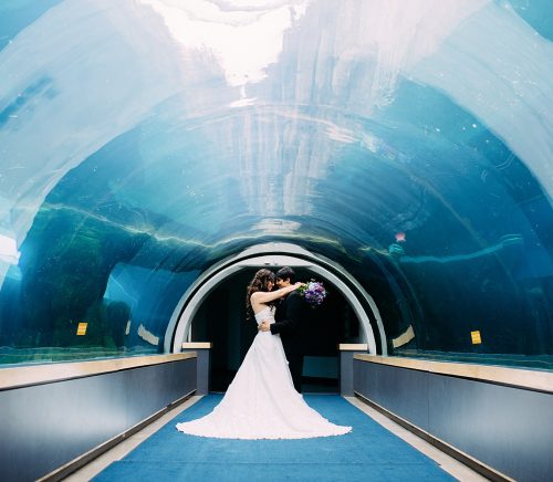 Pittsburgh Zoo & Aquarium | Pittsburgh Wedding Venue | Burgh Brides
