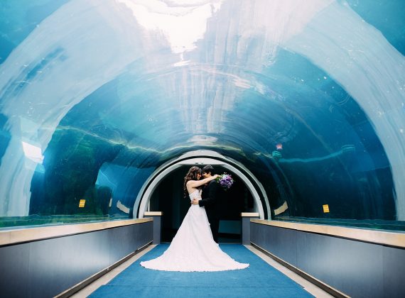 Pittsburgh Zoo & Aquarium | Pittsburgh Wedding Venue | Burgh Brides
