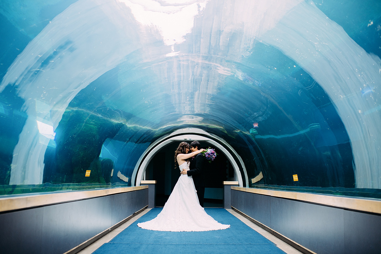 Pittsburgh Zoo & Aquarium | Pittsburgh Wedding Venue