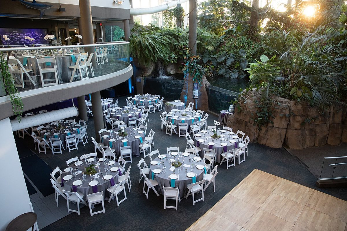 Pittsburgh Zoo & Aquarium | Pittsburgh Wedding Venue | Burgh Brides