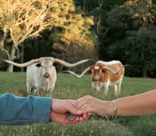 Jenni Grace Photography | Pittsburgh Wedding Photographer | Burgh Brides