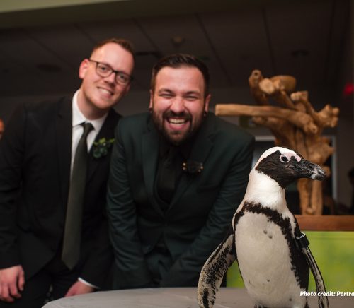 National Aviary | Pittsburgh Wedding Venue | Burgh Brides