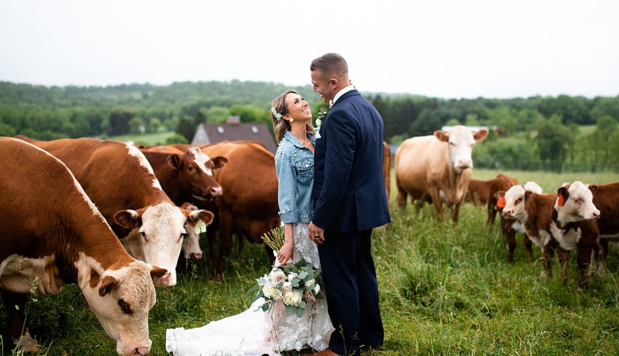 Shady Elms Farm Wedding That Oozes Romance. For more blush pink wedding ideas, visit burghbrides.com!
