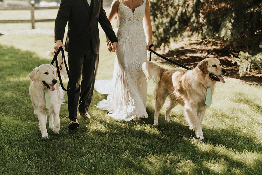 Willowbrook Wedding with Intimate Touches | Burgh Brides | Oakwood Photo + Video