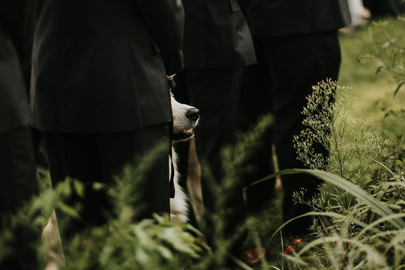 Willowbrook Wedding with Intimate Touches | Burgh Brides | Oakwood Photo + Video