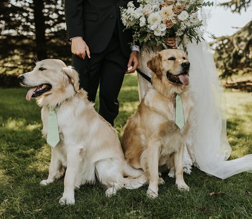 Willowbrook Wedding with Intimate Touches | Burgh Brides | Oakwood Photo + Video