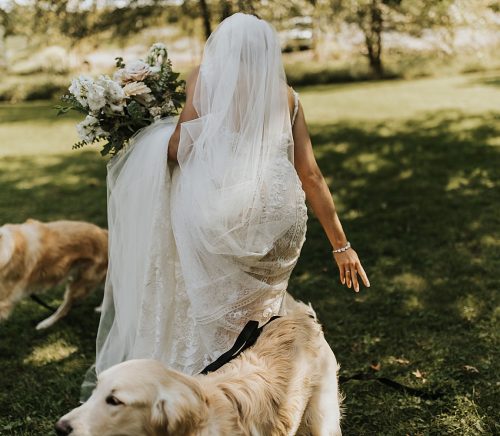 Willowbrook Wedding with Intimate Touches | Burgh Brides | Oakwood Photo + Video