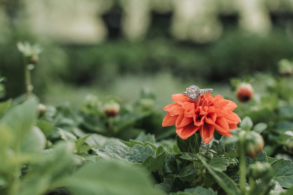 Organic Greenhouse Engagement Session | Burgh Brides | Sam Brooks Photography