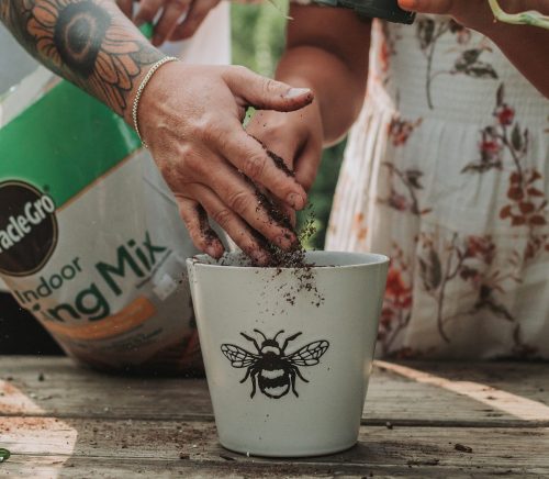 Organic Greenhouse Engagement Session | Burgh Brides | Sam Brooks Photography