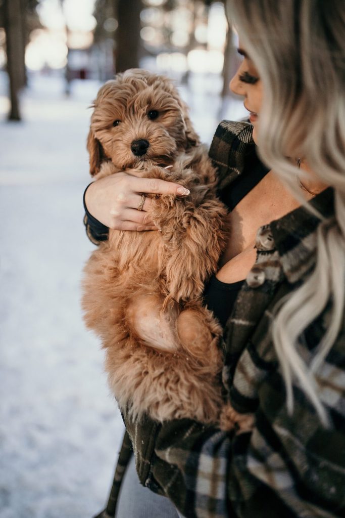 Wintery Engagement Shoot At Getaway House With Couple’s New Puppy | Burgh Brides | Iris Marie Photography