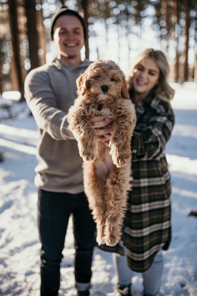 Wintery Engagement Shoot At Getaway House With Couple’s New Puppy | Burgh Brides | Iris Marie Photography