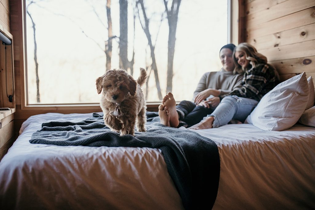 Wintery Engagement Shoot At Getaway House With Couple’s New Puppy | Burgh Brides | Iris Marie Photography