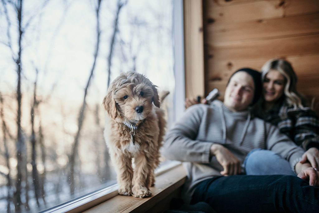 Wintery Engagement Shoot At Getaway House With Couple’s New Puppy | Burgh Brides | Iris Marie Photography