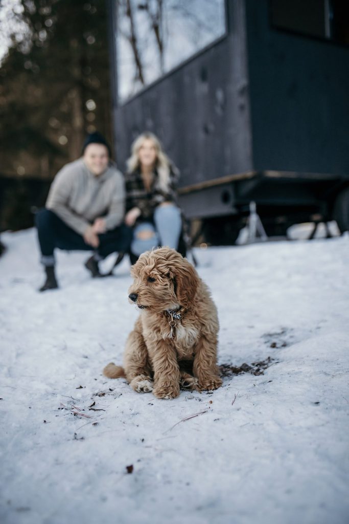 Wintery Engagement Shoot At Getaway House With Couple’s New Puppy | Burgh Brides | Iris Marie Photography