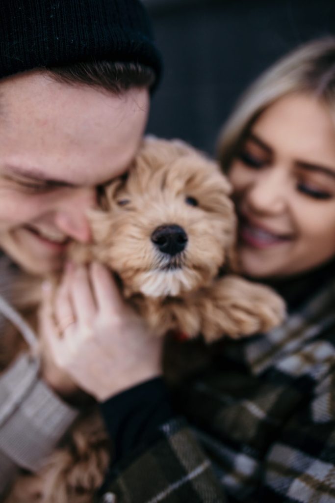 Wintery Engagement Shoot At Getaway House With Couple’s New Puppy | Burgh Brides | Iris Marie Photography