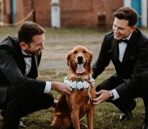 Wedding at The Pump House Where Earthy Meets Industrial | Burgh Brides | Kayla Lynn Photos