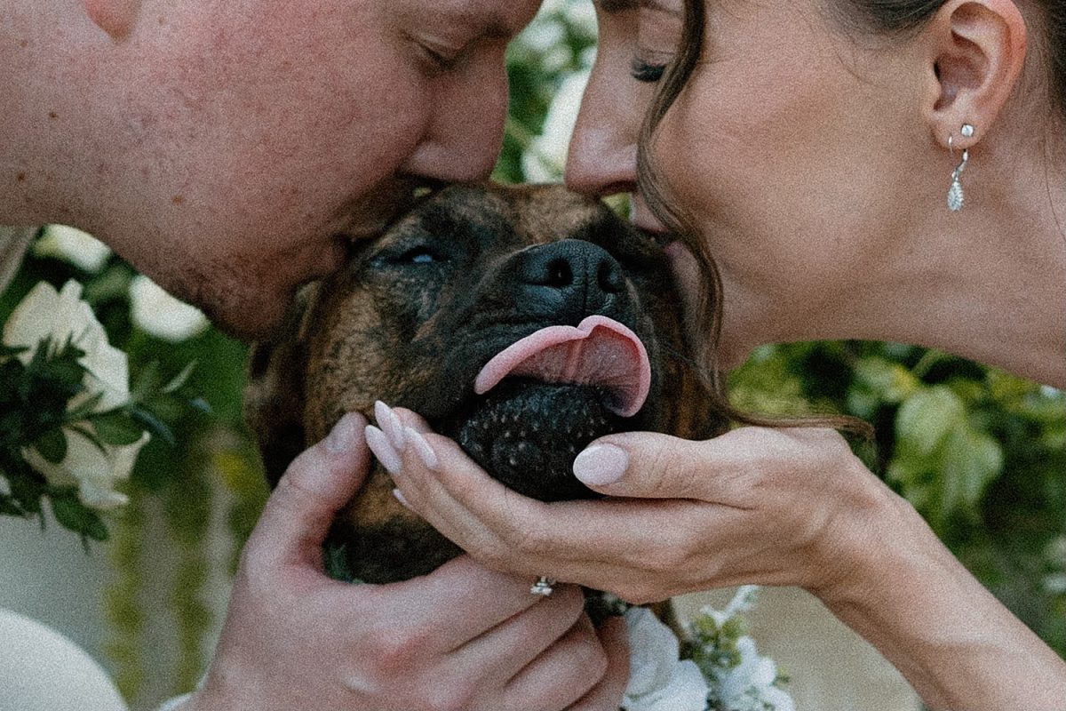 Yappy Ever After | Pittsburgh Wedding Pet Care | Burgh Brides