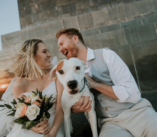 Yappy Ever After | Pittsburgh Wedding Pet Care | Burgh Brides