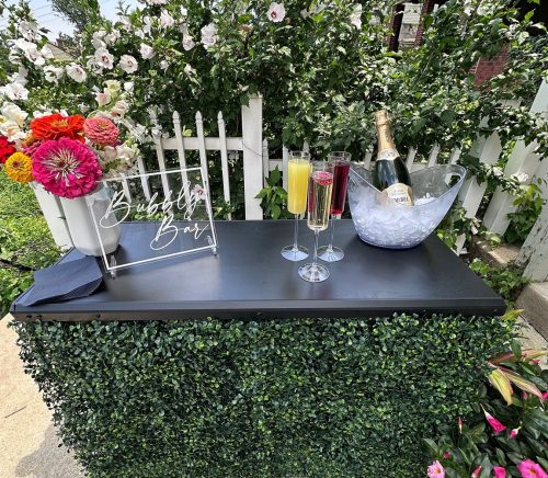 Three Sisters Bartending | Pittsburgh Wedding Bartenders | Burgh Brides